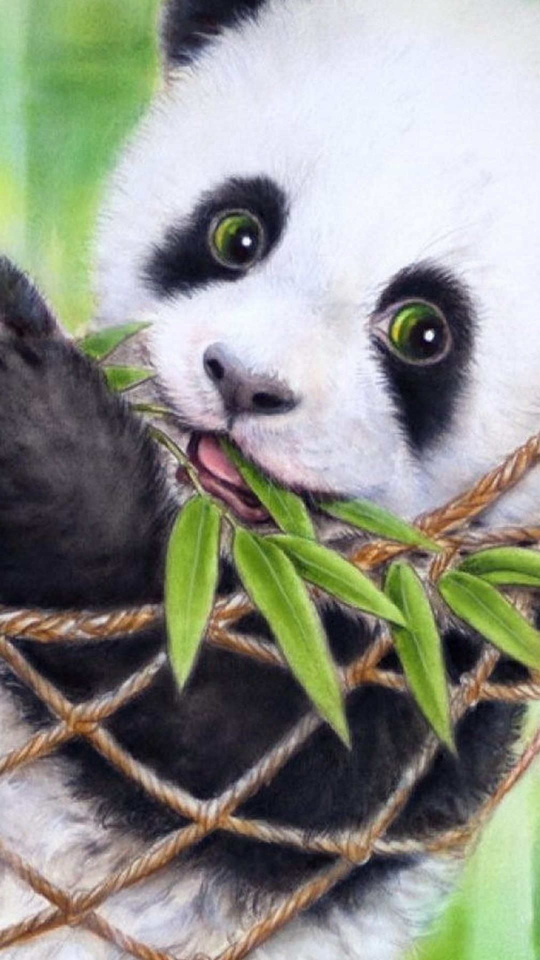 Cute hd wallpapers panda backgrounds for mac